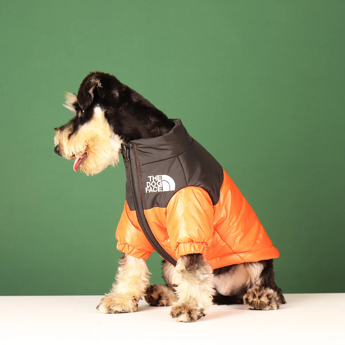 Warm Windproof Reflective Dog Winter Jacket for Small & Medium Dogs