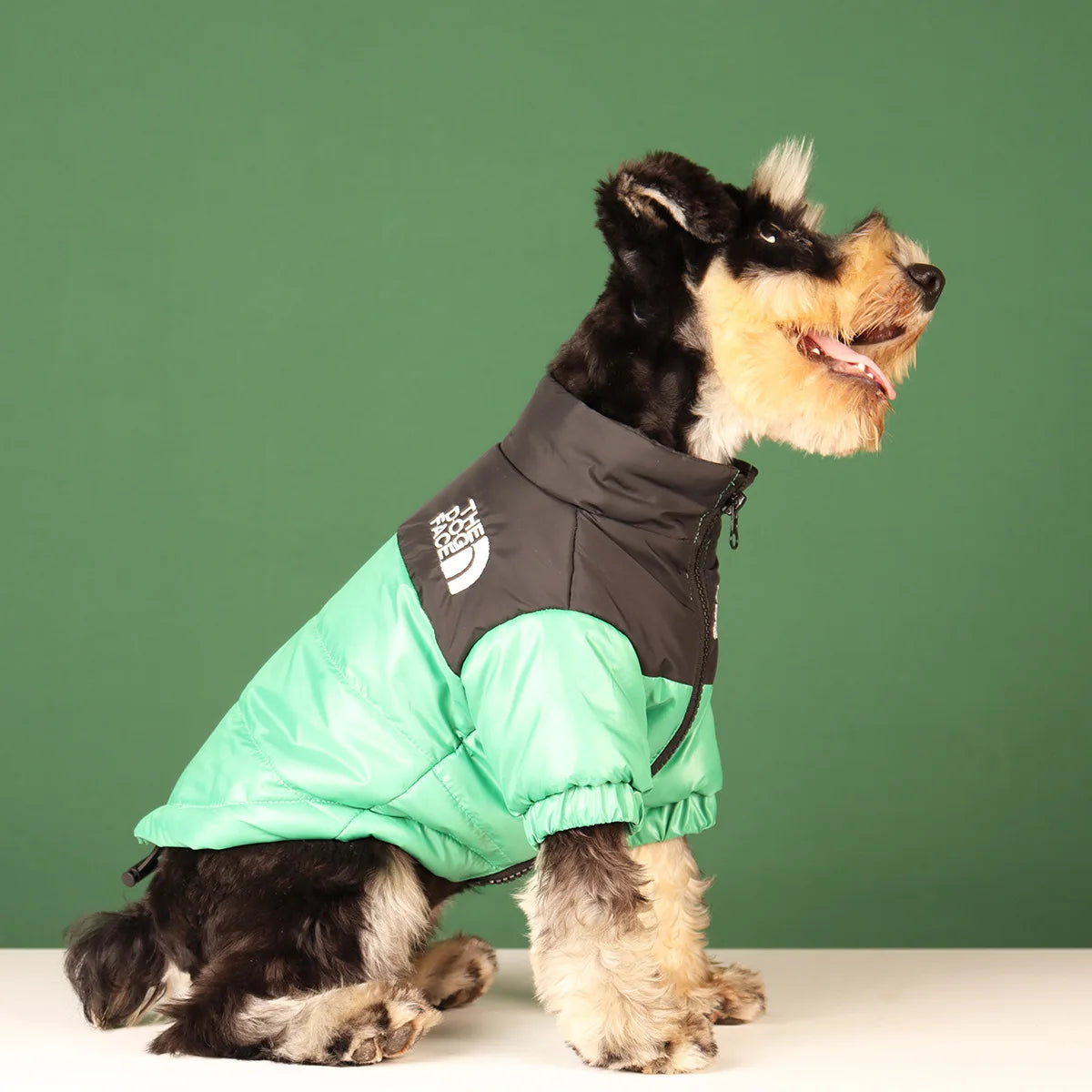 Warm Windproof Reflective Dog Winter Jacket for Small & Medium Dogs