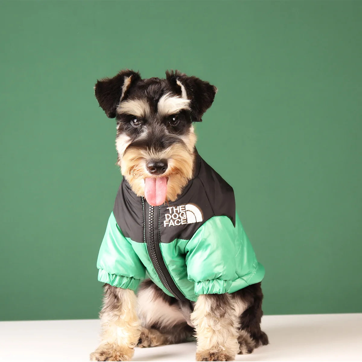 Warm Windproof Reflective Dog Winter Jacket for Small & Medium Dogs