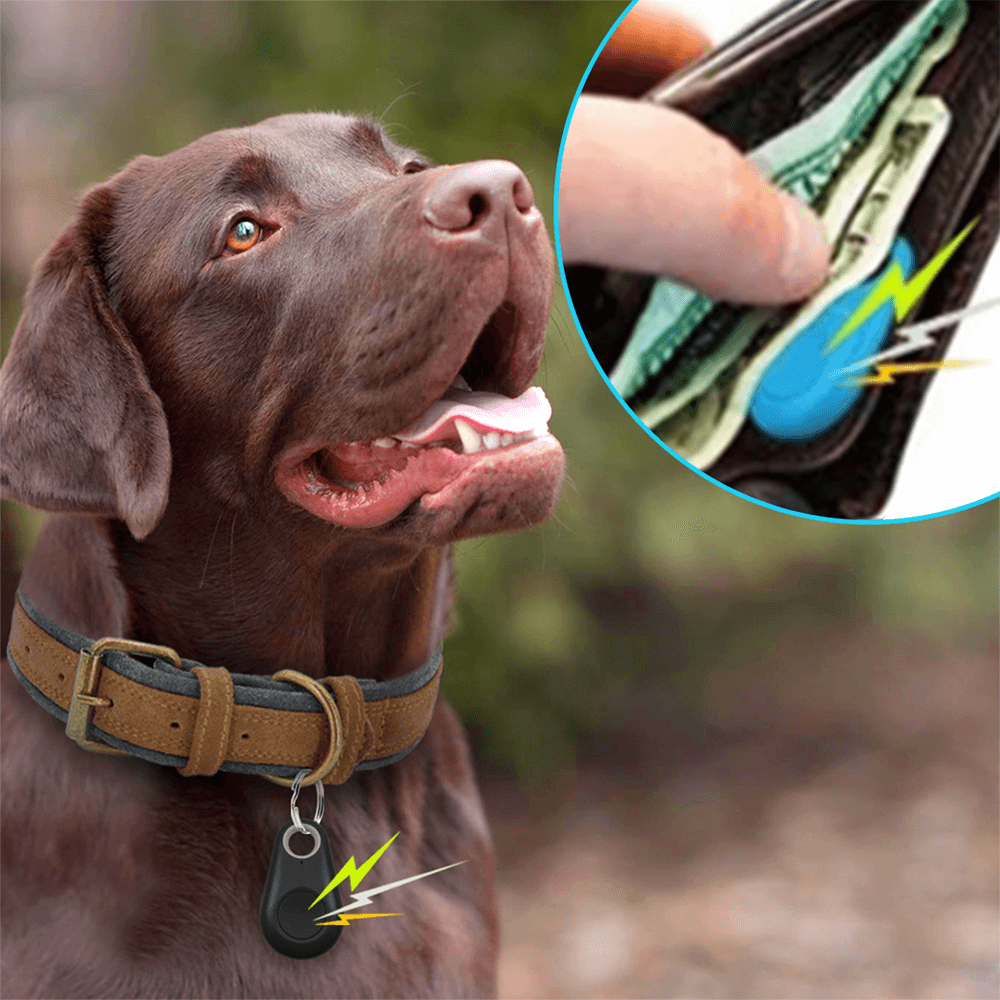 gid://shopify/MediaImage/28616297939034